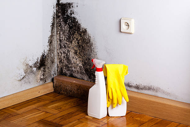 Best Mold Remediation for Specific Building Types in Blackhawk, CA